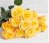 Роза классическая High & Yellow Flame